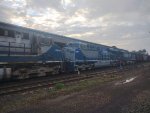 RUMO 9593